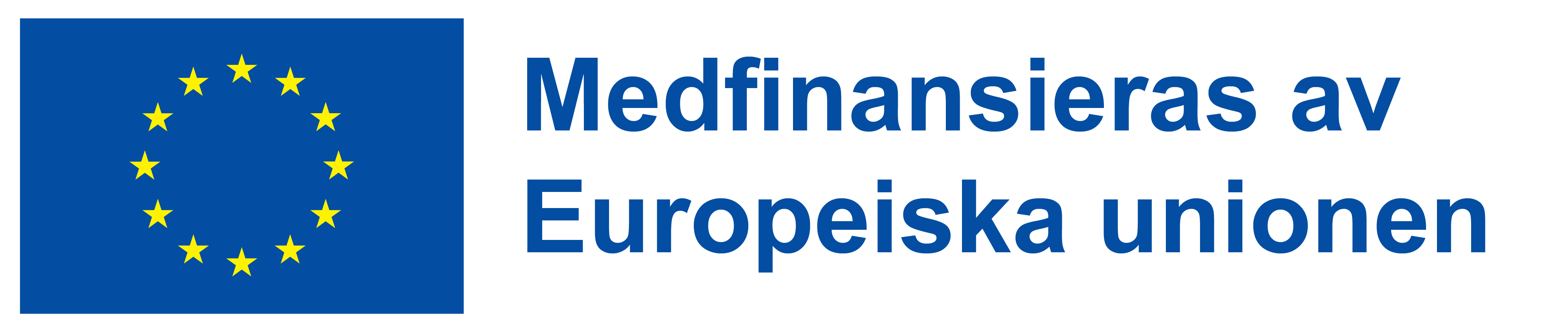 European-Regional-Development-Fund-ERDF-Logo-black